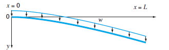 As depicted in Fig. P1.24, the downward deflection y (m)