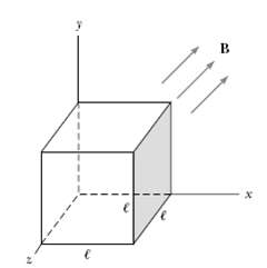 A cube of edge length ℓ = 2.50 cm